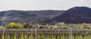 schloss Villa Ludwigshöhe heiraten