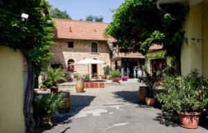 Hochzeitsfotograf Mannheim_Pia und Felix_Alten Weingut Bad Dürkheim