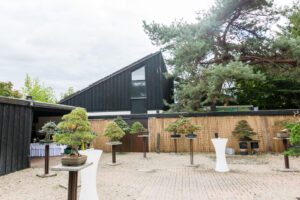 Hochzeit Bonsai Zentrum Heidelberg